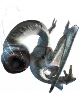 モンハンモンスター・フルフル画像