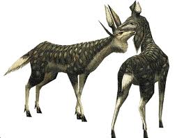 モンハンモンスター・ケルビ画像