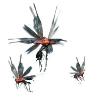 モンハンモンスター・ブナハブラ画像